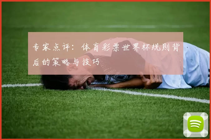 专家点评:体育彩票世界杯规则背后的策略与技巧