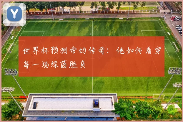 世界杯预测帝的传奇：他如何看穿每一场绿茵胜负