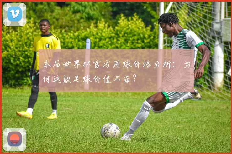 本届世界杯官方用球价格分析：为何这款足球价值不菲？