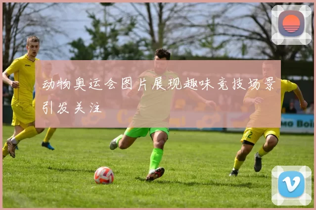 动物奥运会图片展现趣味竞技场景引发关注