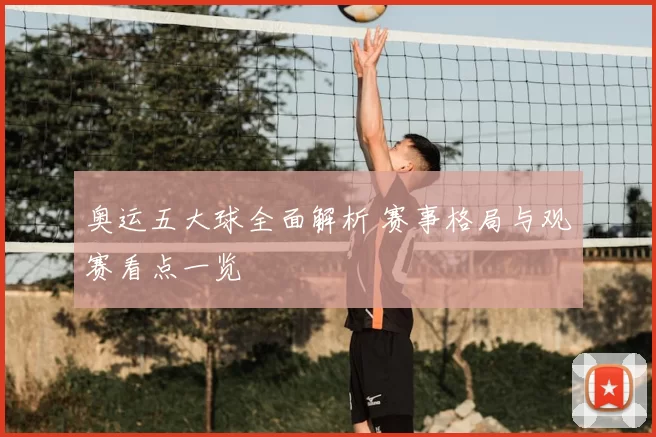奥运五大球全面解析 赛事格局与观赛看点一览