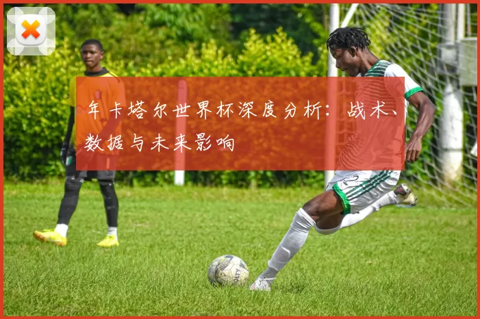 年卡塔尔世界杯深度分析：战术、数据与未来影响