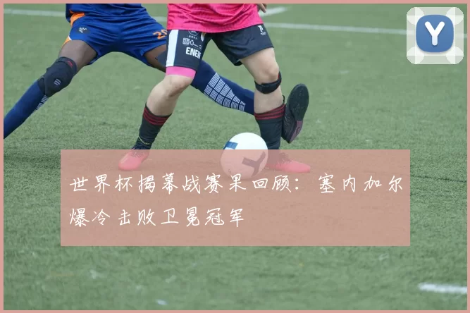 世界杯揭幕战赛果回顾：塞内加尔爆冷击败卫冕冠军