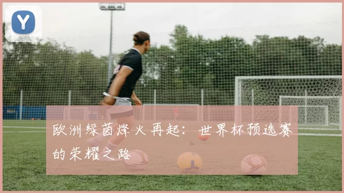 欧洲绿茵烽火再起:世界杯预选赛的荣耀之路