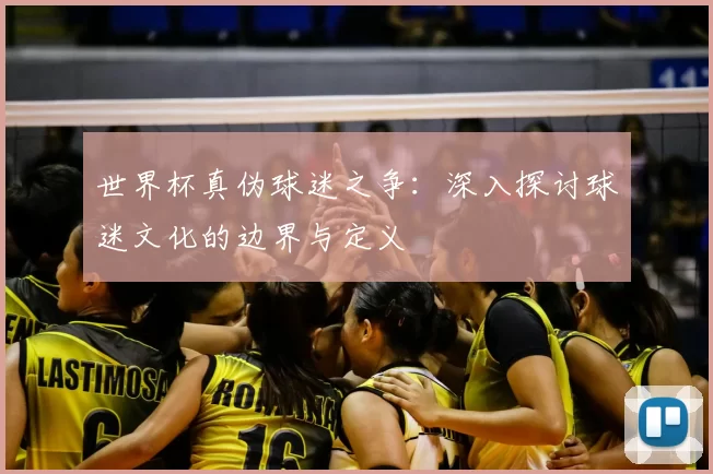 世界杯真伪球迷之争:深入探讨球迷文化的边界与定义