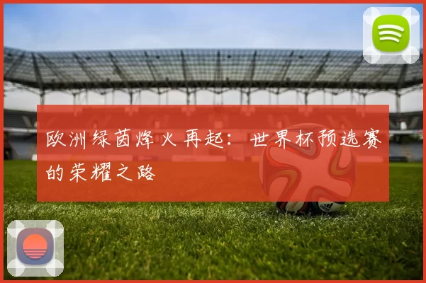 欧洲绿茵烽火再起：世界杯预选赛的荣耀之路