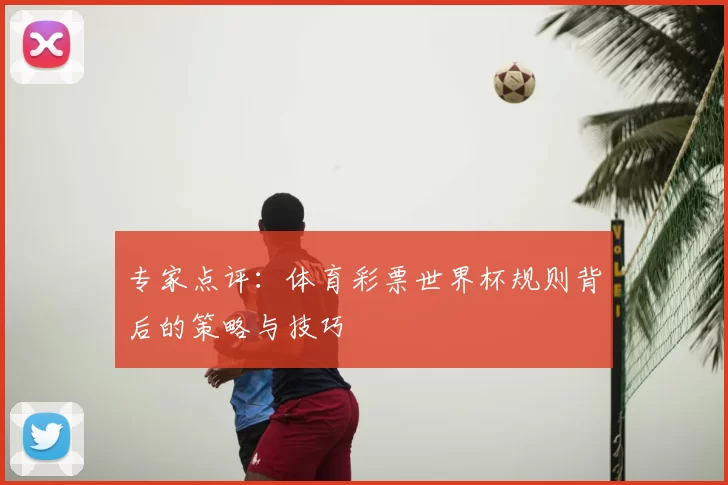 专家点评：体育彩票世界杯规则背后的策略与技巧
