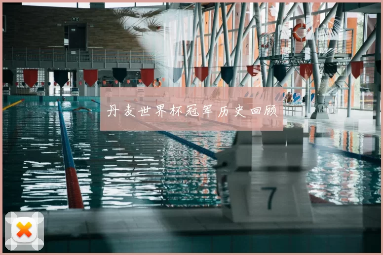 丹麦世界杯冠军历史回顾