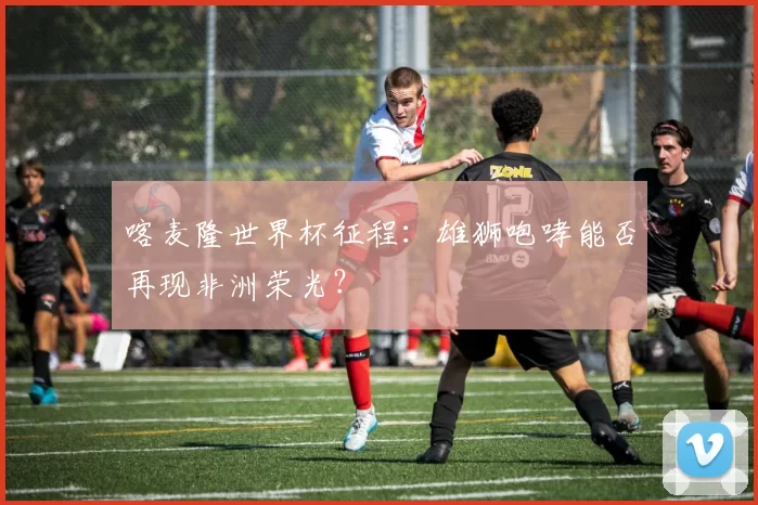 喀麦隆世界杯征程：雄狮咆哮能否再现非洲荣光？