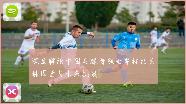 深度解读中国足球晋级世界杯的关键因素与未来挑战