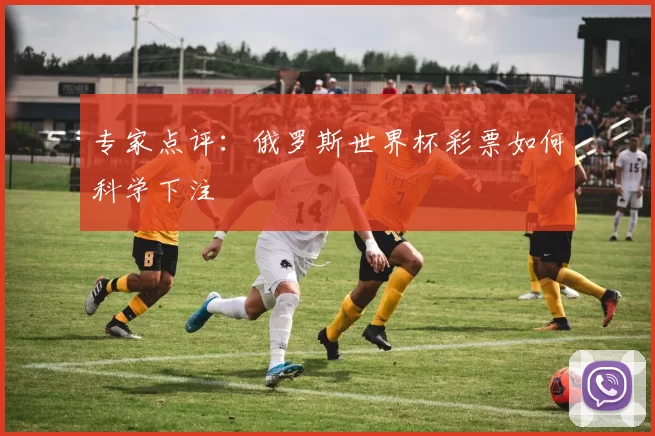 专家点评：俄罗斯世界杯彩票如何科学下注